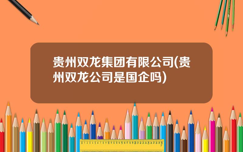 贵州双龙集团有限公司(贵州双龙公司是国企吗)